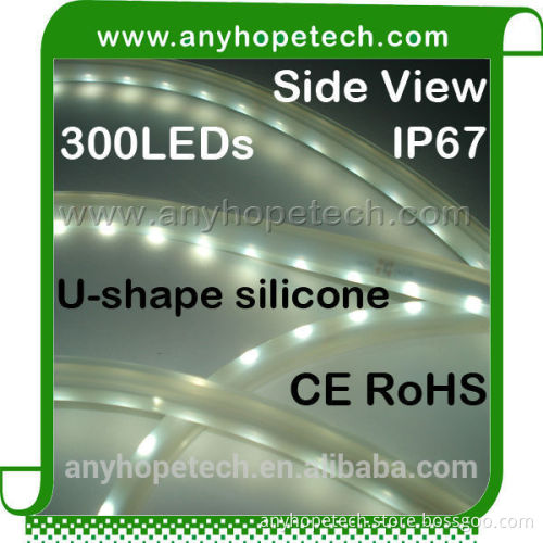 Warm White Side Light Ribbon, Cool White 24V Side Light Ribbon, Blue 24V Side Light Ribbon